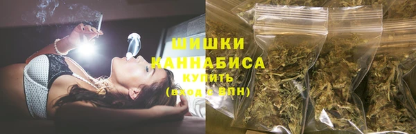 амф Богданович