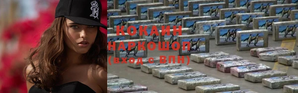 гидра Белокуриха