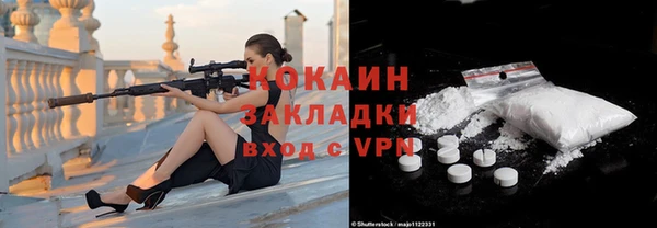 гидра Белокуриха