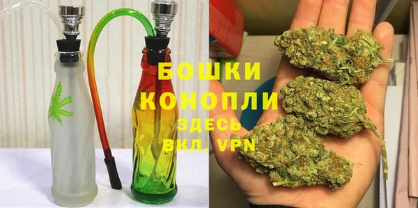 гидра Белокуриха