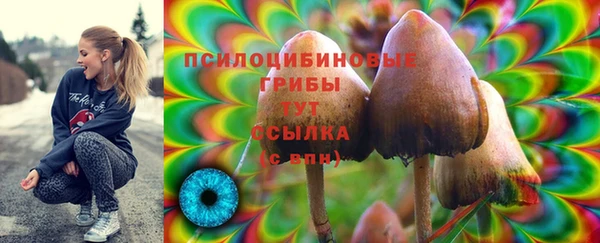 гидра Белокуриха