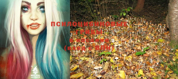 амф Богданович