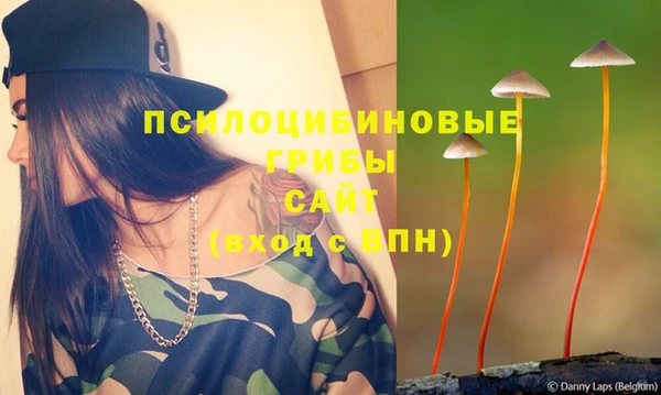 бутират Богородск